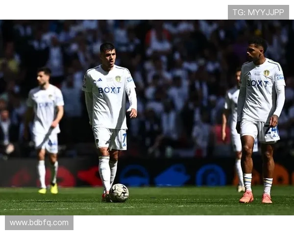 南安普顿俱乐部重整阵容新援加盟助力英冠冲击升级目标 南安普顿俱乐部重整阵容新援加盟助力英冠冲击升级目标